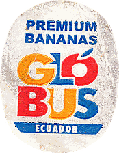 Label 104