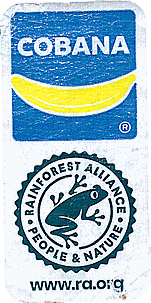 Label 523