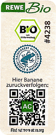 Label 524