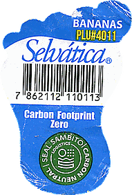 Label 538